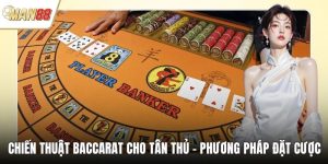 Chiến Thuật Baccarat Cho Tân Thủ - Phương Pháp Đặt Cược