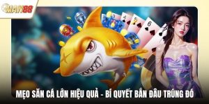 Mẹo Săn Cá Lớn Hiệu Quả - Bí Quyết Bắn Đâu Trúng Đó